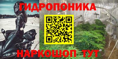 spice Кулебаки