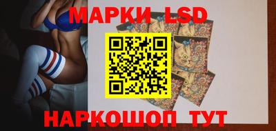 spice Кулебаки
