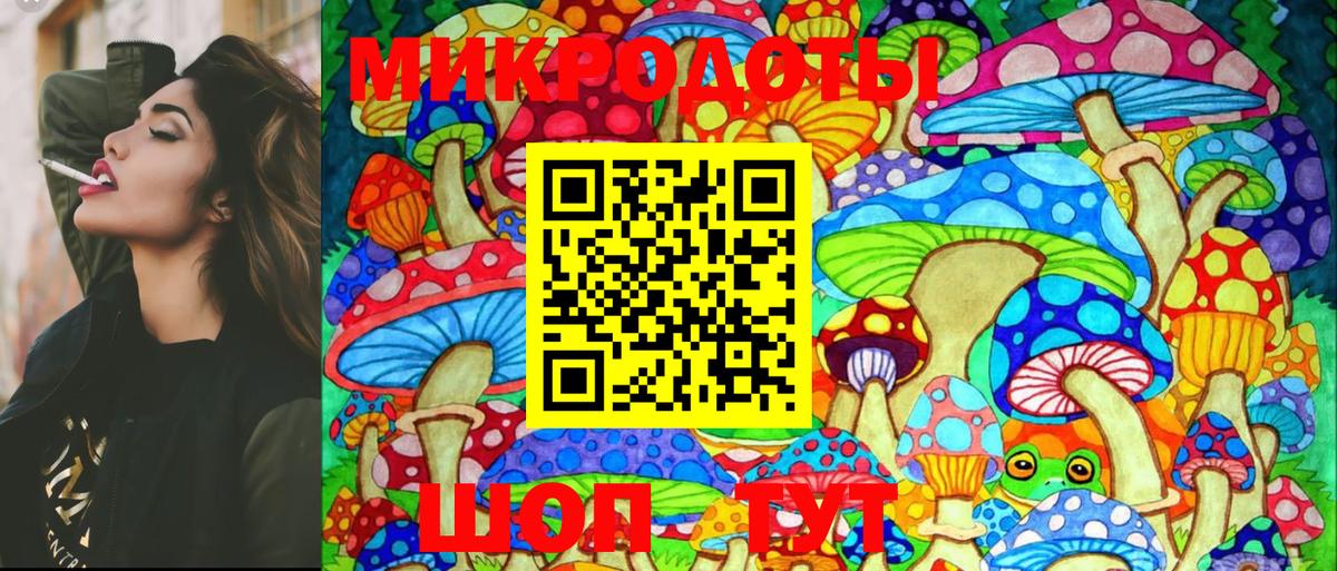 Псилоцибиновые грибы Magic Shrooms Карталы